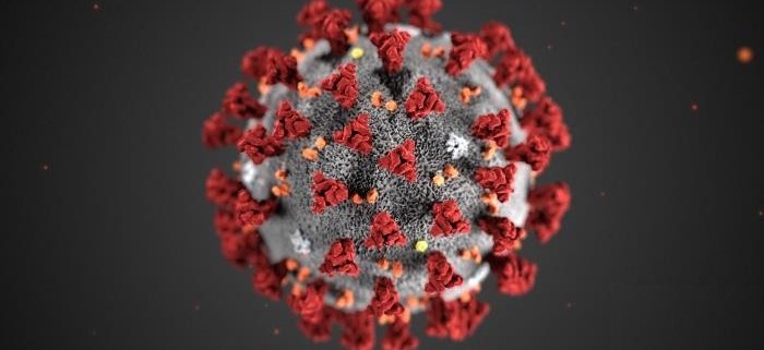 Corona_Virus_Alissa_Eckert