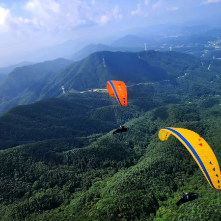 Davinci_Gleitschirm_Mambo-1