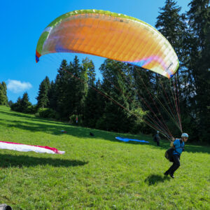 Gleitschirmflieger mit orange-grünem Schirm startet auf einer grünen Wiese, umgeben von Nadelbäumen