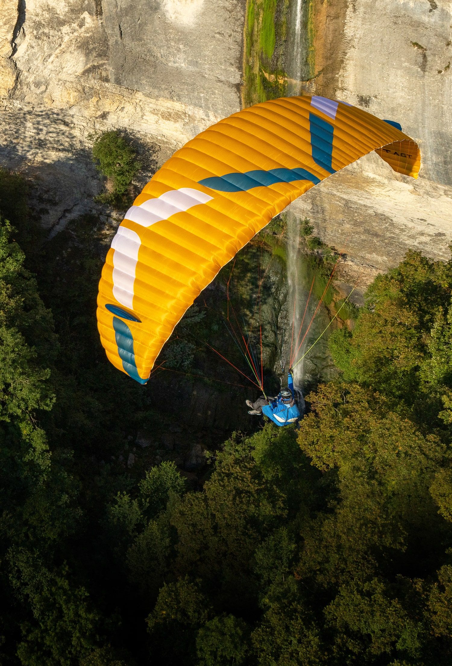 Ozone Alta GT