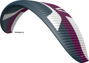 Skywalk Mint – Design Blueberry