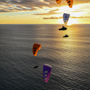Phi Allegro light – Foto 2