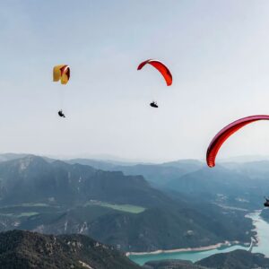 Gin Avid