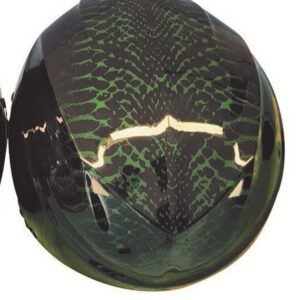 Icaro Nerv 2.0