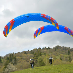 Phi Tenor 2 light