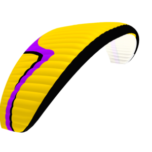 Davinci Rhythm 2
