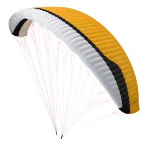 Gin Explorer 3
