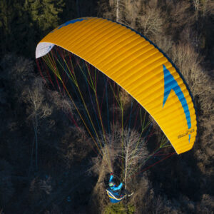 Swing Miura 2 RS